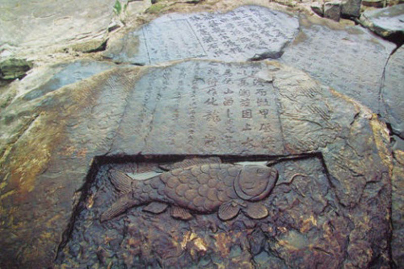 " ???? ???????" ?? ???? ???? ????? ?????? ?? ?????－???? ?????????? ??? ????? 