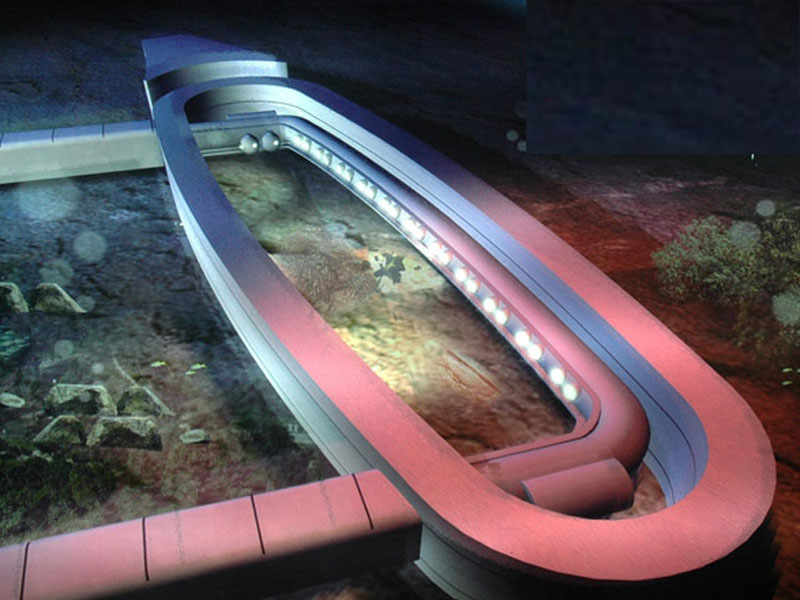 " ???? ???????" ?? ???? ???? ????? ?????? ?? ?????－???? ?????????? ??? ????? 