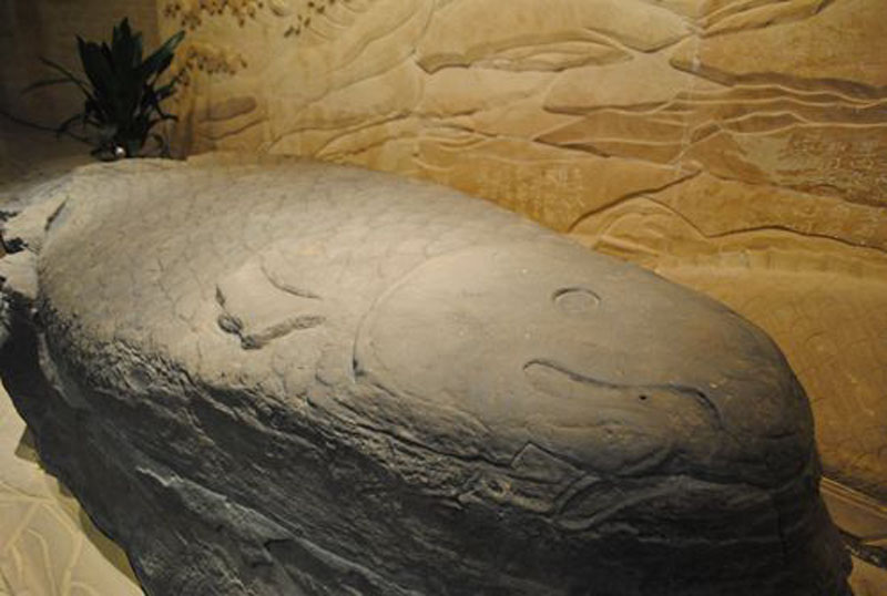 " ???? ???????" ?? ???? ???? ????? ?????? ?? ?????－???? ?????????? ??? ????? 