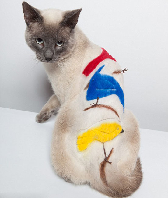 ????? ???? ??????? ???? ????? ??? 