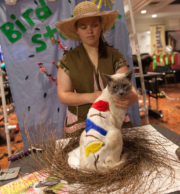 ????? ???? ??????? ???? ????? ??? 