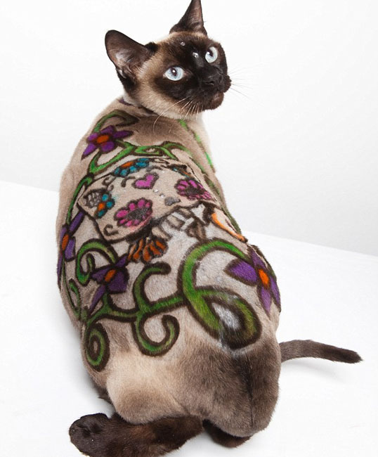 ????? ???? ??????? ???? ????? ??? 