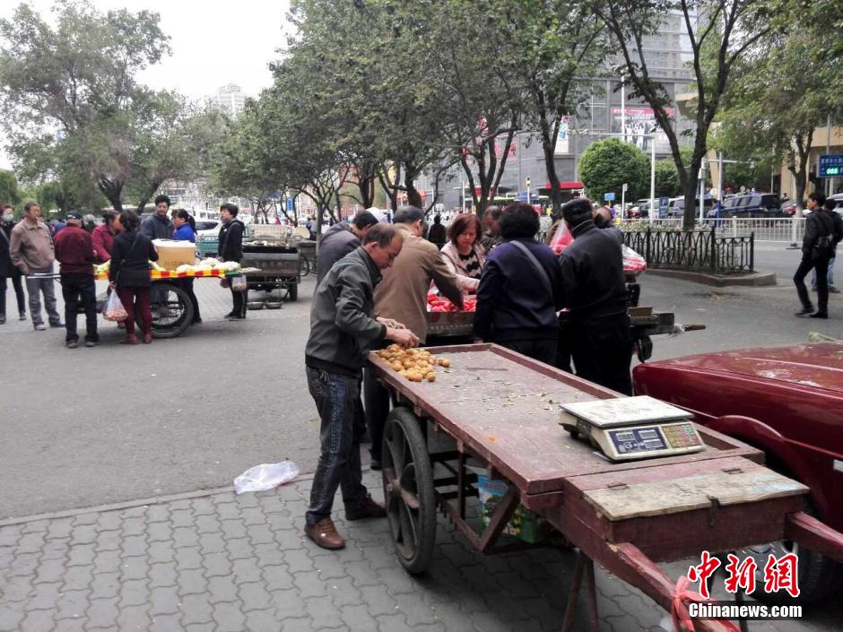 ???? 31 ???? ?????? 94 ????? ???? ???????? ???? ?? ????????