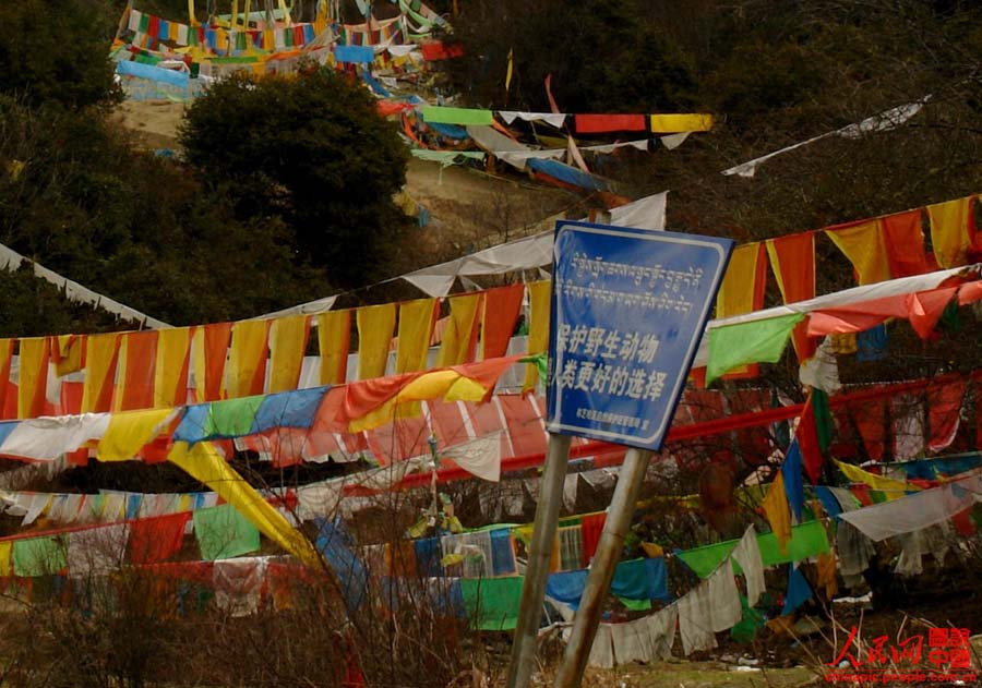 ?????? ?? ???? ??? ????? 