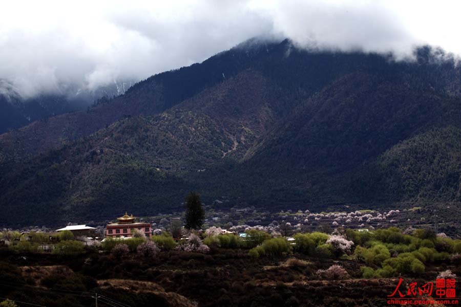 ????? ?????? ????? ??? ?????? ??? ???? ???????? ????? ??????? ??????? ??????? ???????? ???????? ????? "?????? ?????? ????? ??????".