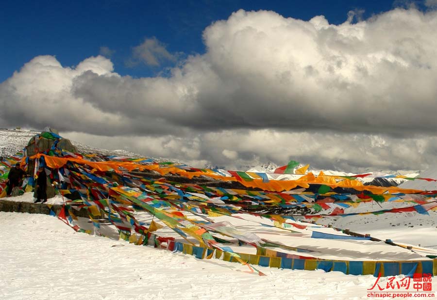 ??? ?????? ??????? ??????? ???? ?? 4700 ??? ??? ??? ?????