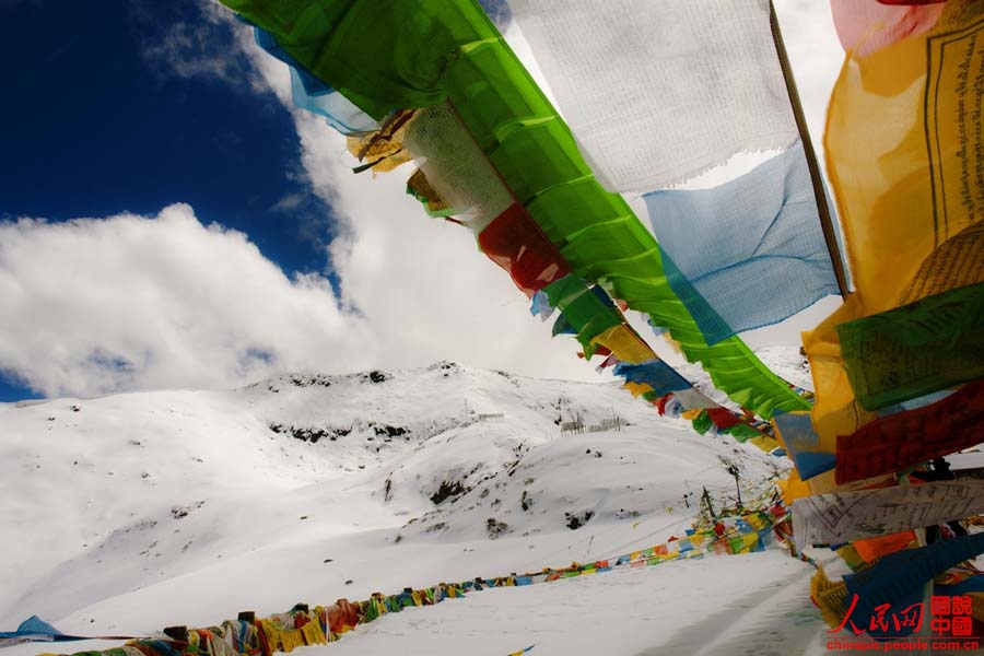 ??? ?????? ??????? ??????? ???? ?? 4700 ??? ??? ??? ?????