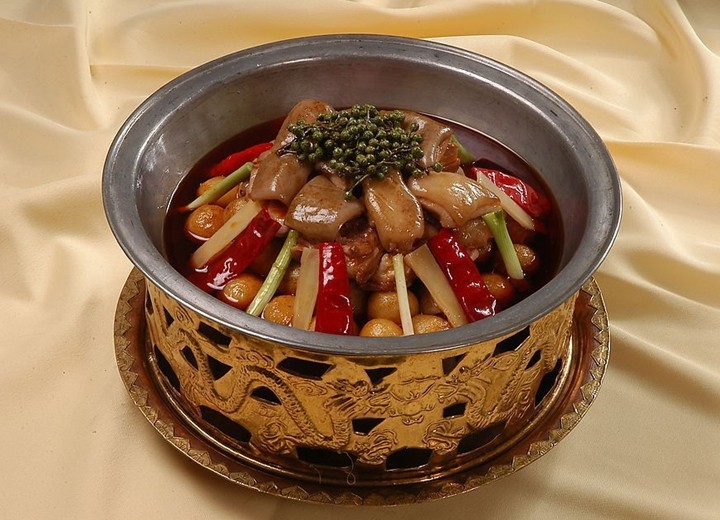 ??? ????? ?????? ???????