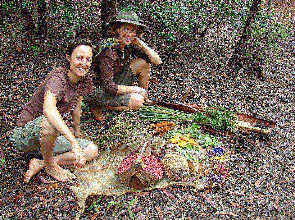 ????? ????????? ???? ????? ?? ??????? ?????? ????????? ?????? 