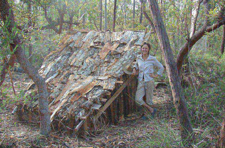 ????? ????????? ???? ????? ?? ??????? ?????? ????????? ?????? 