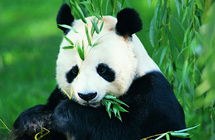 ??? ???????? ???? ?? ?????? ?????? ??????? ??? ?????? ???????? 2014?