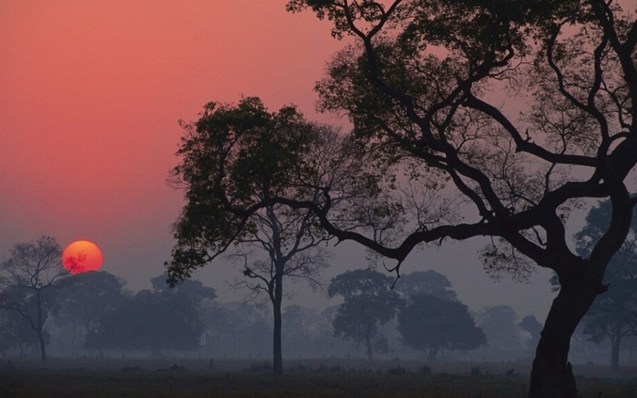 ??????? ?? ???????? - ???? ????? ?? ????????