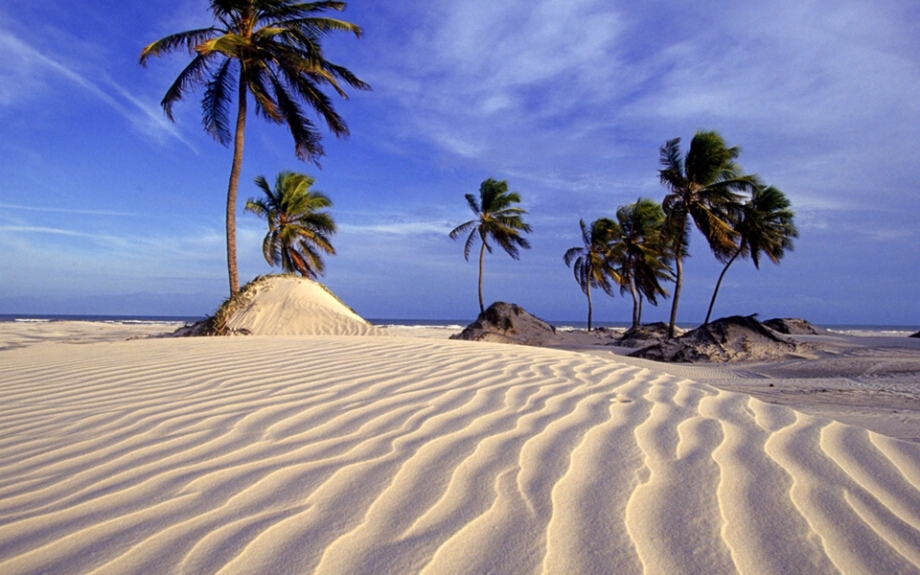 ??????? ?? ???????? - ???? ????? ?? ????????