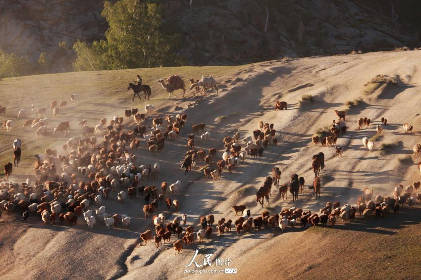 ?????? ?????? ??????? – ???? ???? ????? ??????? ????????? 