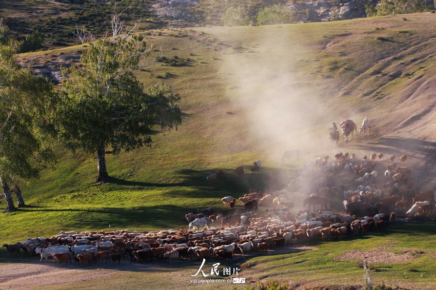 ?????? ?????? ??????? – ???? ???? ????? ??????? ????????? 