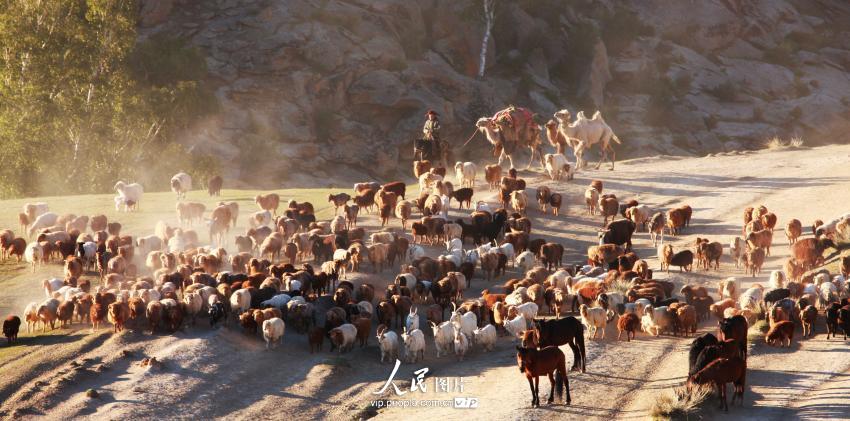 ?????? ?????? ??????? – ???? ???? ????? ??????? ????????? 