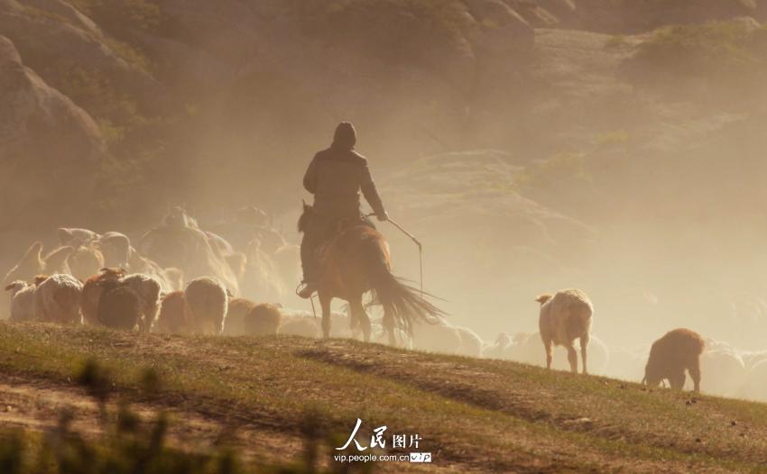 ?????? ?????? ??????? – ???? ???? ????? ??????? ????????? 