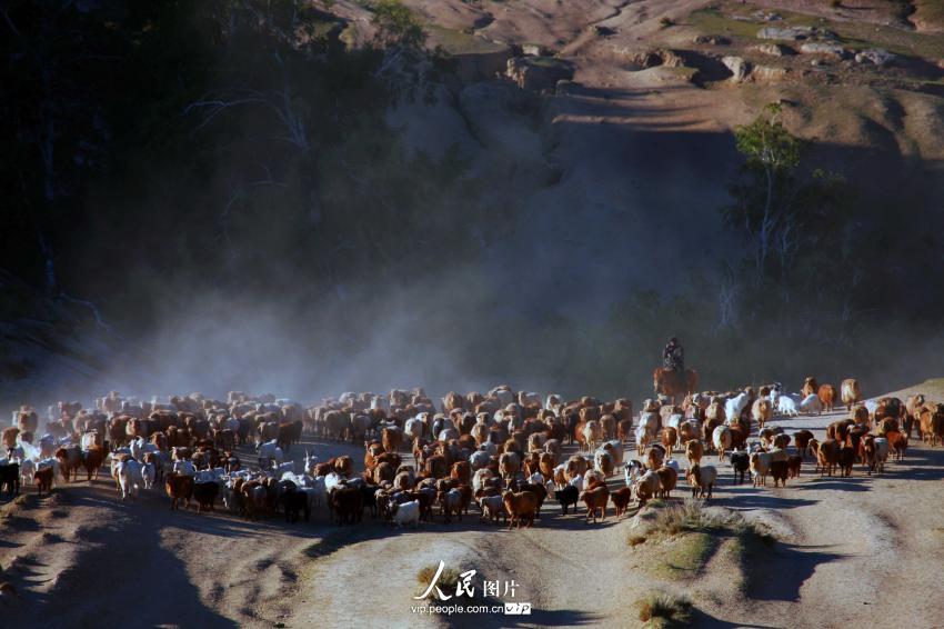 ?????? ?????? ??????? – ???? ???? ????? ??????? ????????? 