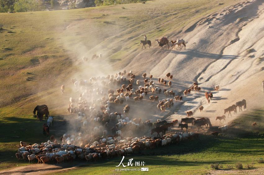 ?????? ?????? ??????? – ???? ???? ????? ??????? ????????? 