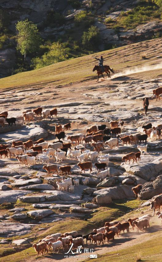 ?????? ?????? ??????? – ???? ???? ????? ??????? ????????? 