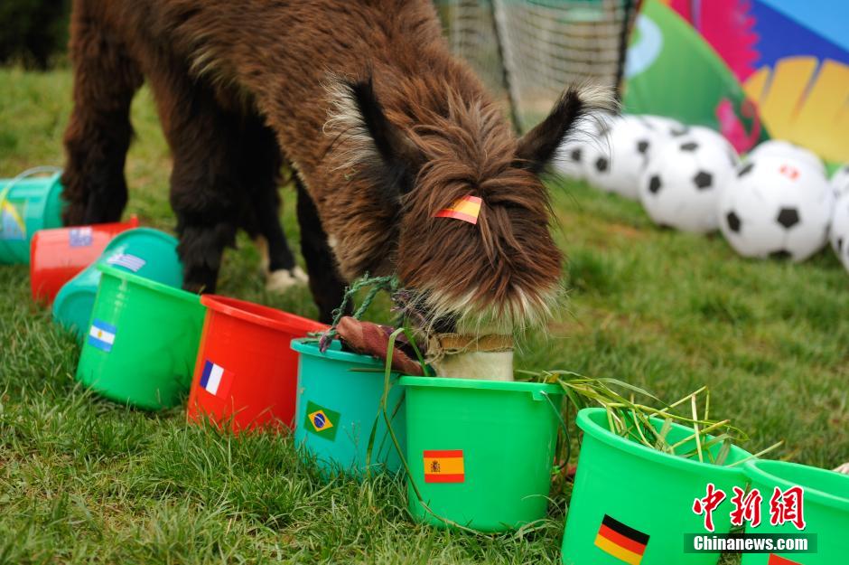 ??? ?????...????????? ?? ????? ????? ????? ?????? ??? ??????