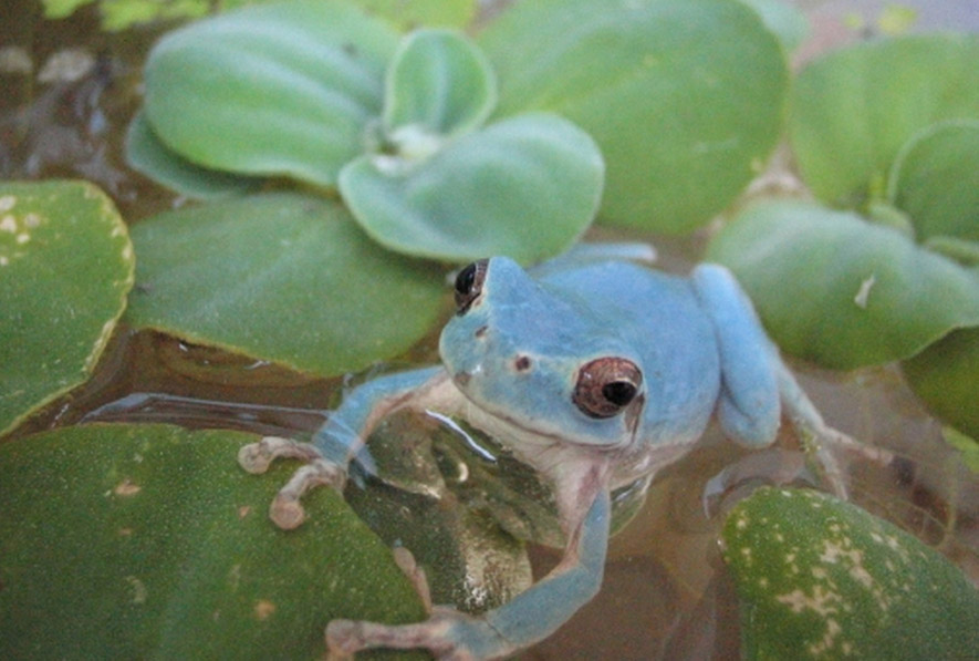 ?????? ???? ???? ???? ?? ????? ???????? 