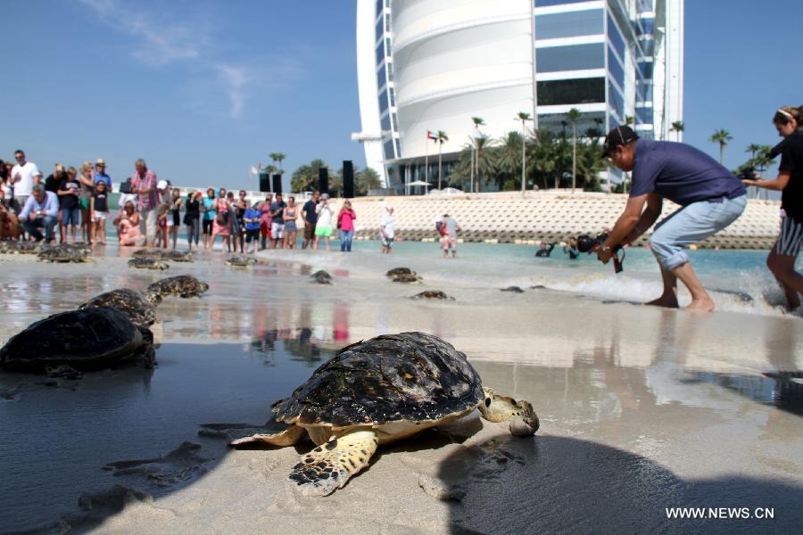 ????? ???? ?? 100 ?????? ????? ????? ????????? ??? ?????? ?? ???