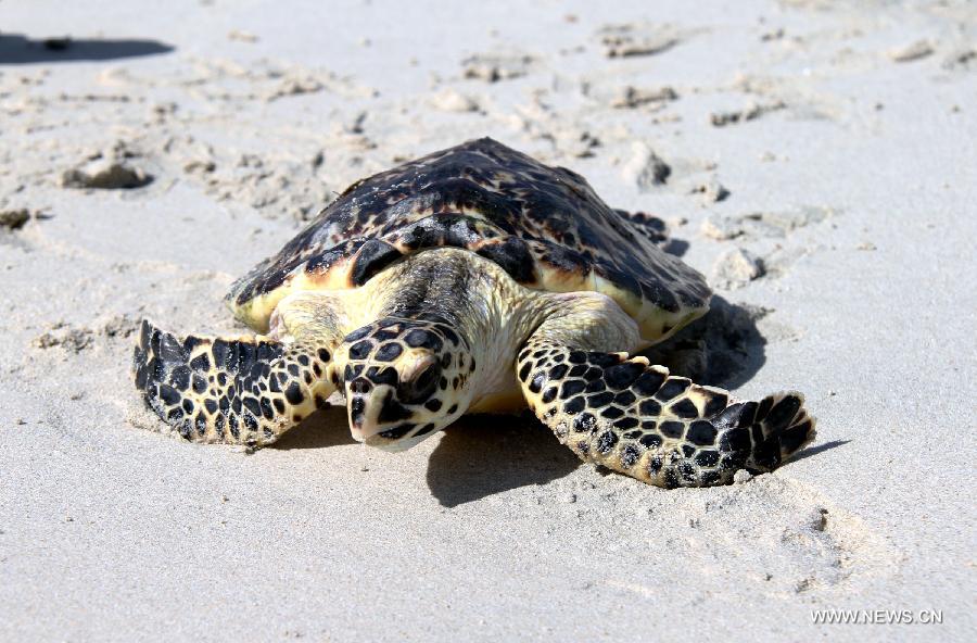 ????? ???? ?? 100 ?????? ????? ????? ????????? ??? ?????? ?? ???