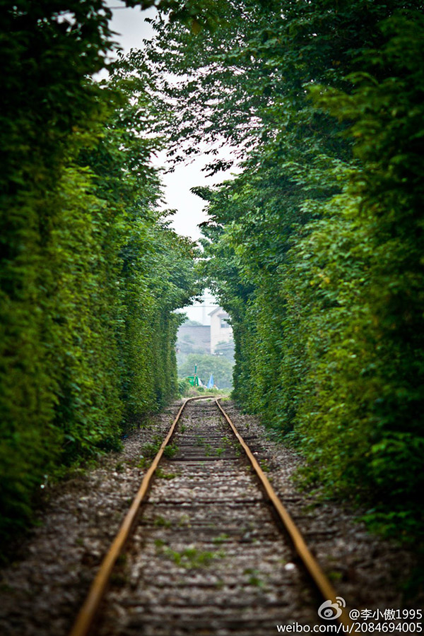 ???:"???? ??? ???? "?? ????? ??????? ???????    