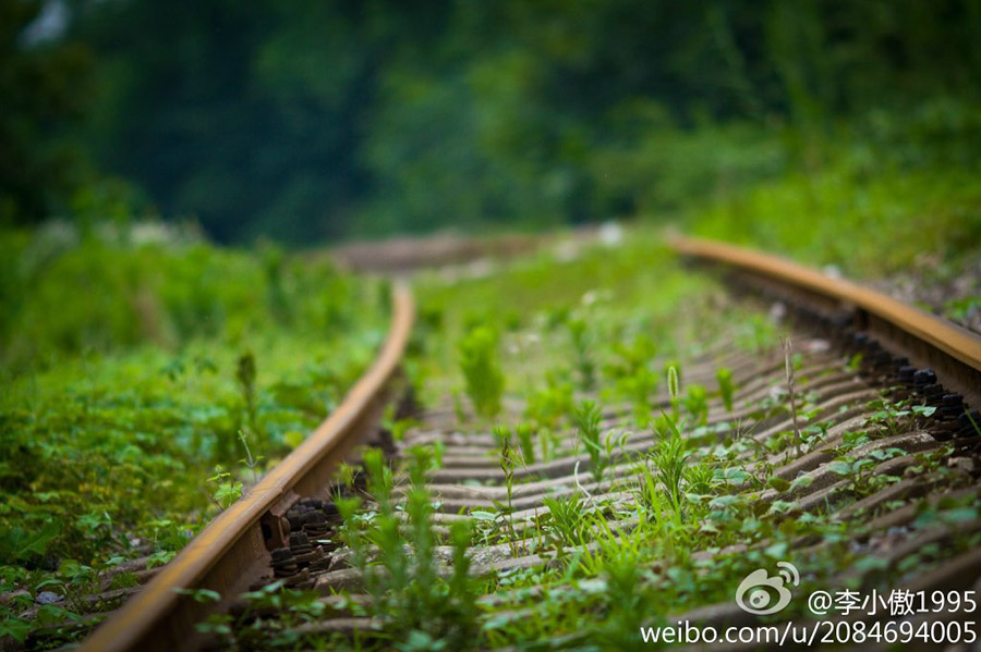 ???:"???? ??? ???? "?? ????? ??????? ???????    