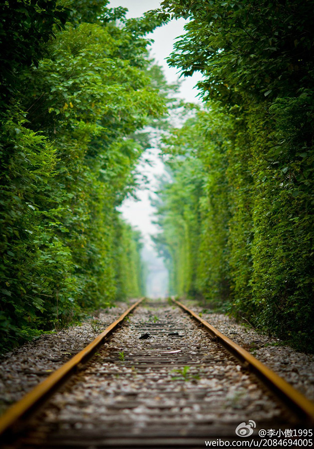 ???:"???? ??? ???? "?? ????? ??????? ???????    