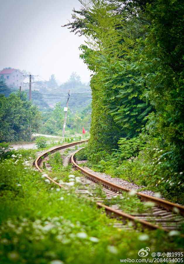 ???:"???? ??? ???? "?? ????? ??????? ???????    