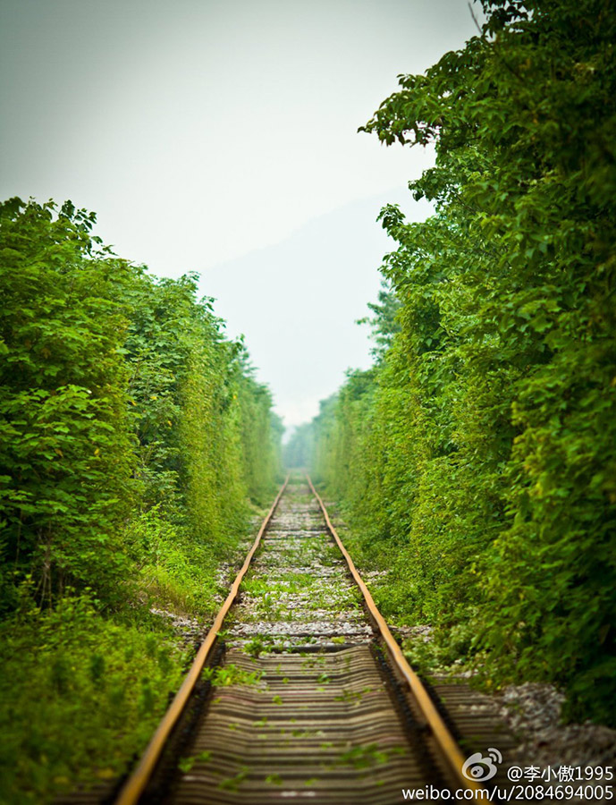 ???:"???? ??? ???? "?? ????? ??????? ???????    