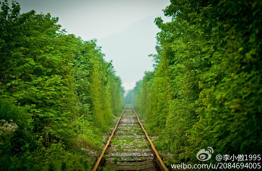 ???:"???? ??? ???? "?? ????? ??????? ???????    