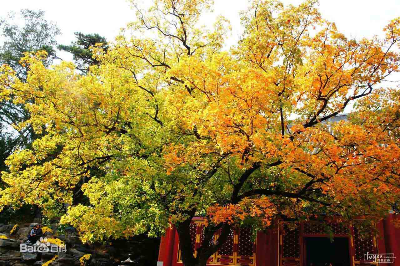 ??????? ?? ?????: ?????? ?? ????? ???? 