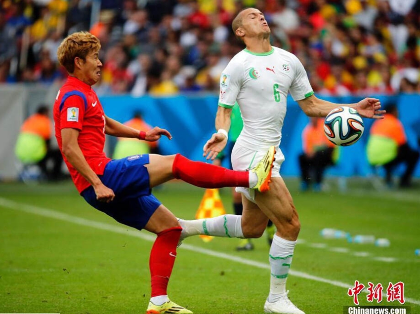 ?????? ????? ???? ???? ??????