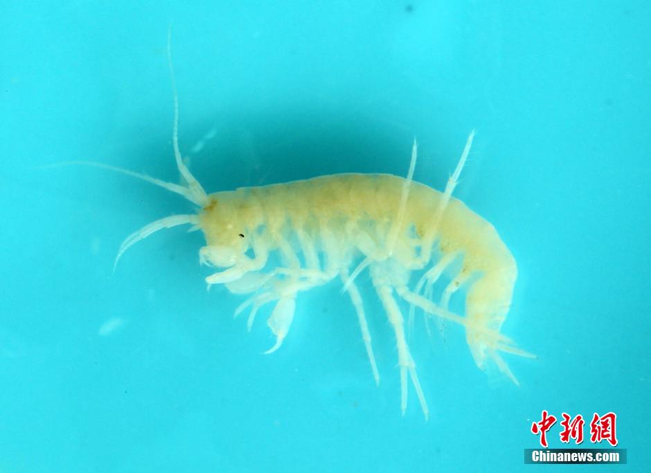 ?????? ????? ????? ?? ??????? ???? ??? ?? ????? ?????? ??????? 