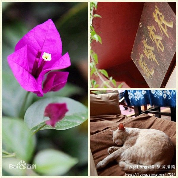 ??????? ?? ?????: ?????? ?? ????? ??????? 