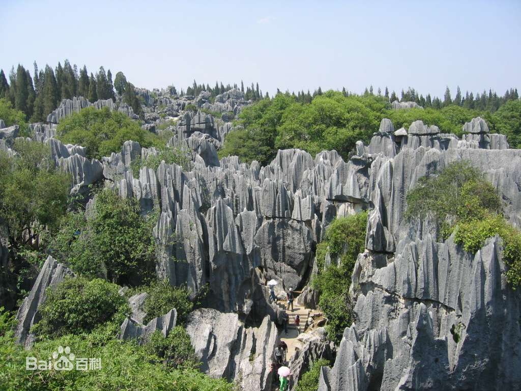 ??????? ?? ?????: ?????? ?? ????? ??????? 