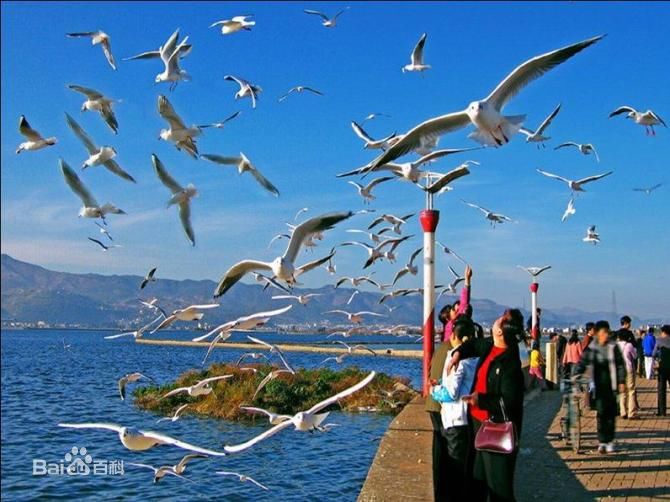 ??????? ?? ?????: ?????? ?? ????? ??????? 