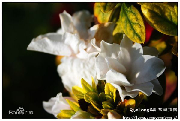 ??????? ?? ?????: ?????? ?? ????? ??????? 