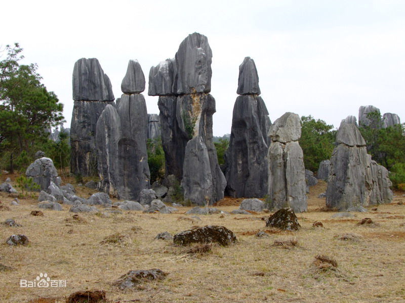 ??????? ?? ?????: ?????? ?? ????? ??????? 