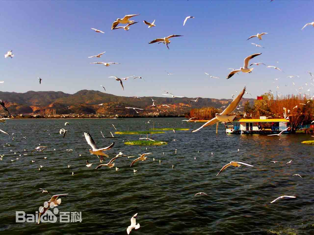 ??????? ?? ?????: ?????? ?? ????? ??????? 