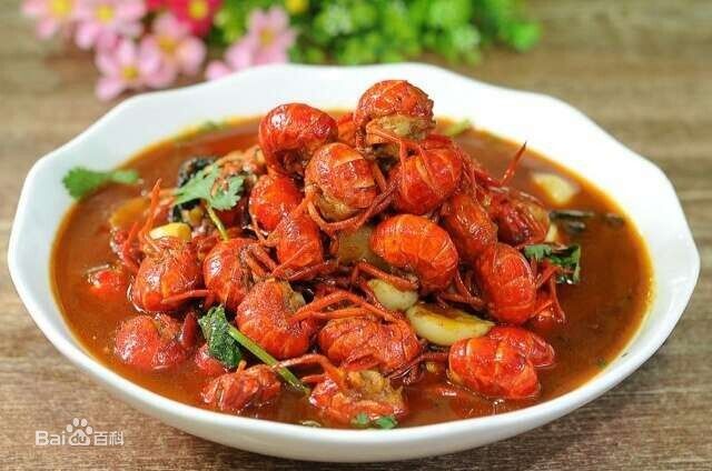 ??????? ?? ????? : ?????? ?? ????? ??????? 