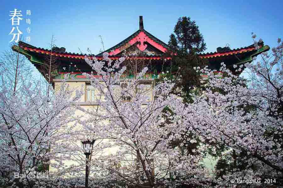 ??????? ?? ????? : ?????? ?? ????? ??????? 