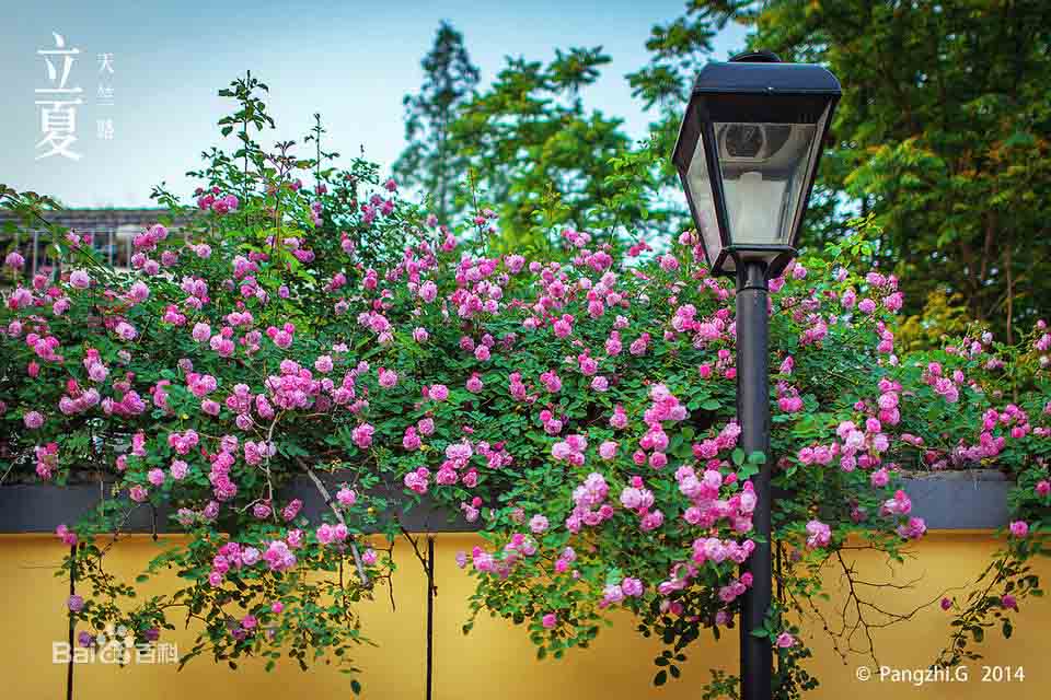 ??????? ?? ????? : ?????? ?? ????? ??????? 