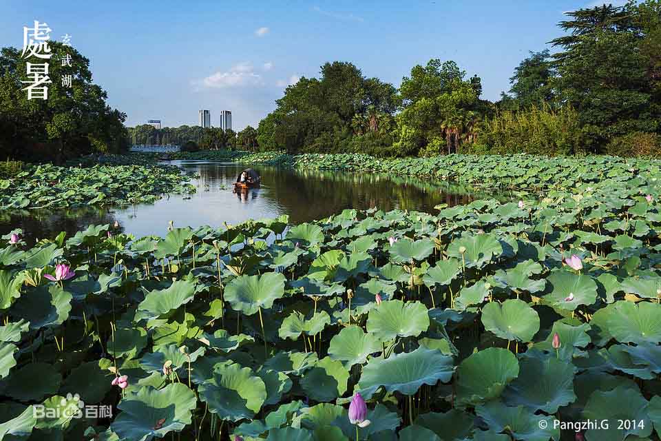 ??????? ?? ????? : ?????? ?? ????? ??????? 