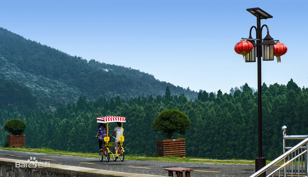 ??????? ?? ????? : ?????? ?? ????? ??????? 