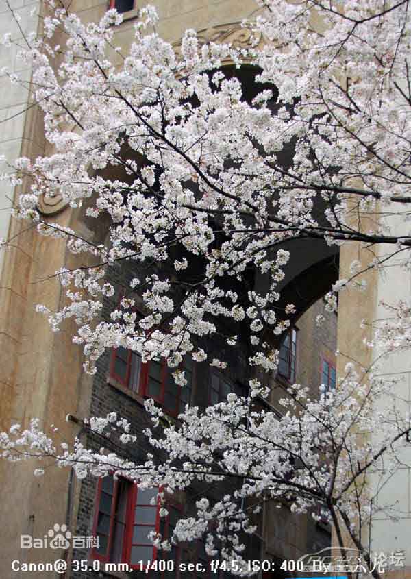 ??????? ?? ?????: ?????? ?? ????? ????? 