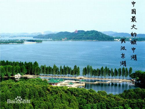 ??????? ?? ?????: ?????? ?? ????? ????? 